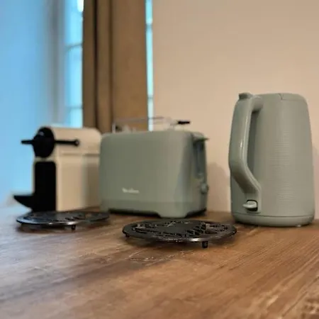 Chaleureux Au Pied Des Pyrenees *