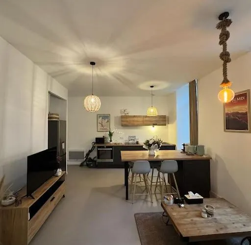 Chaleureux Au Pied Des Pyrenees 公寓 巴涅尔德比戈尔