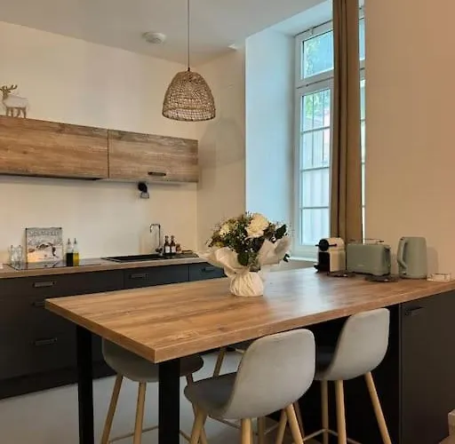 公寓 Chaleureux Au Pied Des Pyrenees